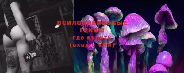 СК Навашино