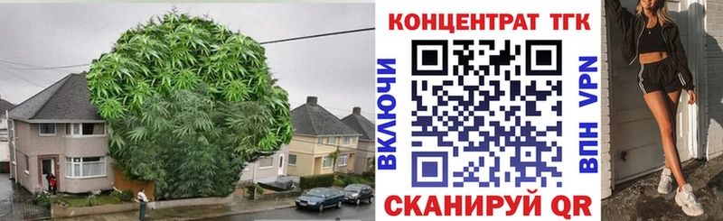 купить наркотики цена  Власиха  Дистиллят ТГК Wax 