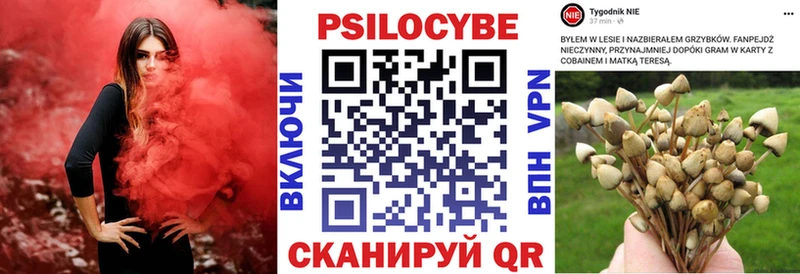 Псилоцибиновые грибы Magic Shrooms магазин наркотиков Власиха